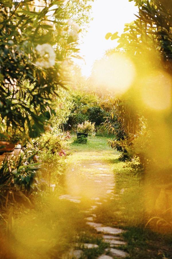 فيلا The Artist'S Farm Dhiyellótika المظهر الخارجي الصورة