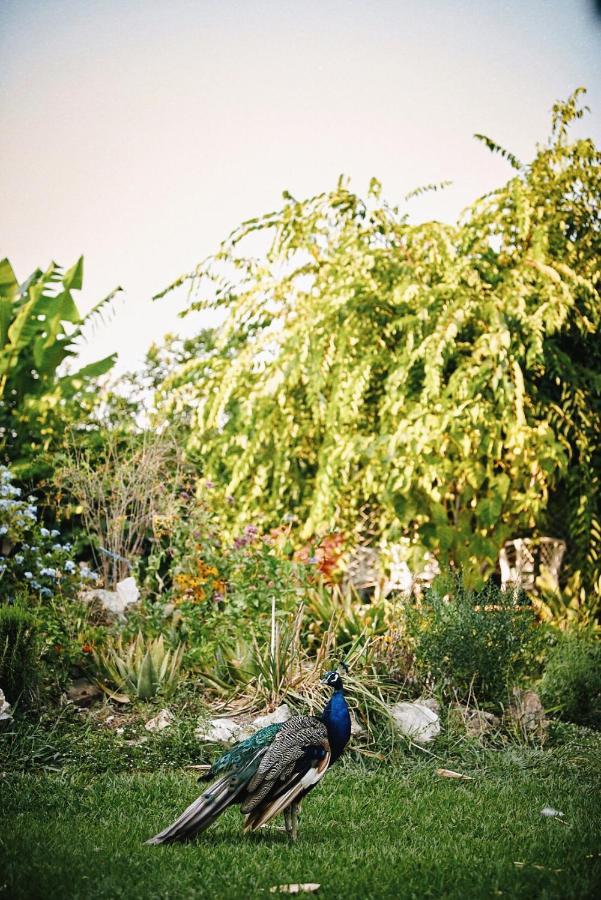 فيلا The Artist'S Farm Dhiyellótika المظهر الخارجي الصورة