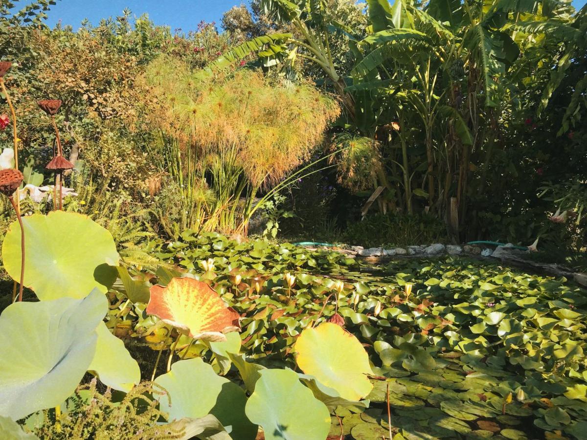 فيلا The Artist'S Farm Dhiyellótika المظهر الخارجي الصورة