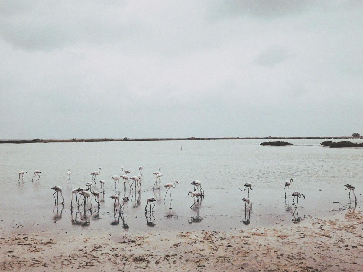 فيلا The Artist'S Farm Dhiyellótika المظهر الخارجي الصورة